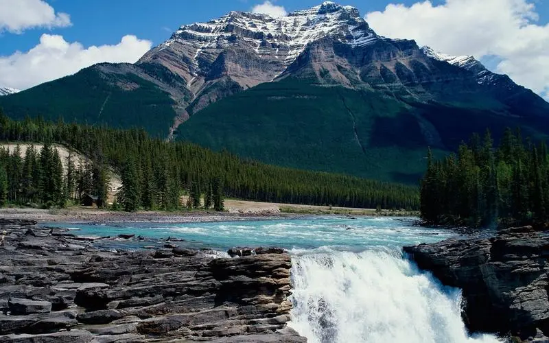 电子高标准高性能